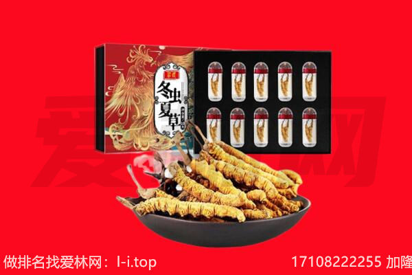 三门峡市回收虫草.jpg